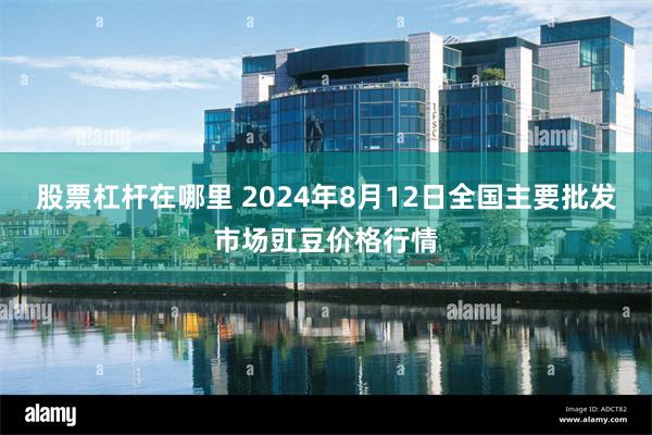 股票杠杆在哪里 2024年8月12日全国主要批发市场豇豆价格行情