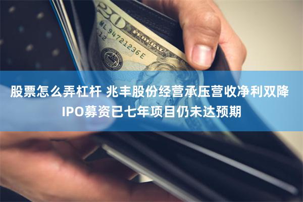 股票怎么弄杠杆 兆丰股份经营承压营收净利双降 IPO募资已七年项目仍未达预期