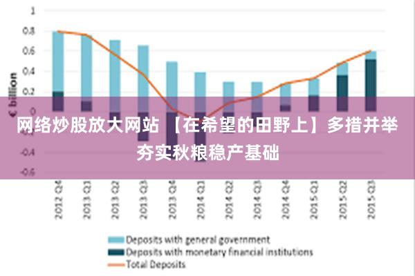 网络炒股放大网站 【在希望的田野上】多措并举夯实秋粮稳产基础