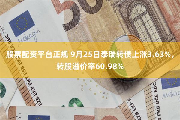 股票配资平台正规 9月25日泰瑞转债上涨3.63%，转股溢价率60.98%