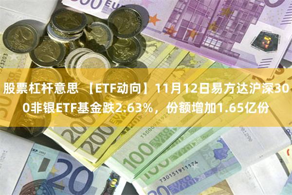 股票杠杆意思 【ETF动向】11月12日易方达沪深300非银ETF基金跌2.63%，份额增加1.65亿份