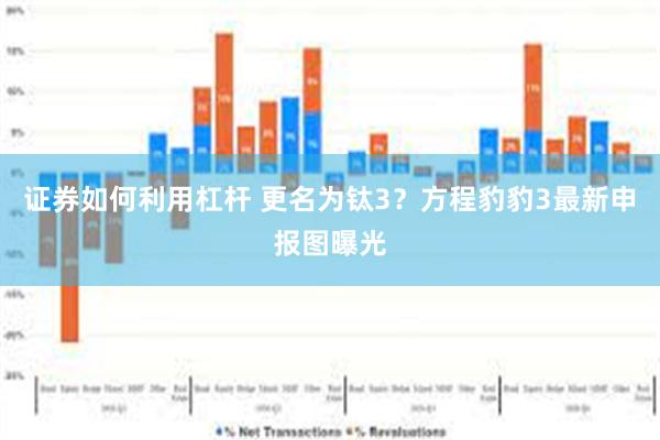 证券如何利用杠杆 更名为钛3？方程豹豹3最新申报图曝光