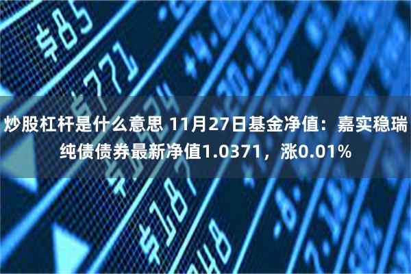 炒股杠杆是什么意思 11月27日基金净值：嘉实稳瑞纯债债券最新净值1.0371，涨0.01%