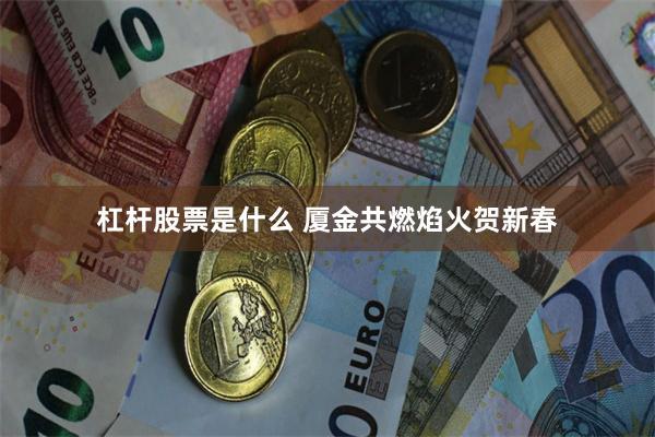 杠杆股票是什么 厦金共燃焰火贺新春